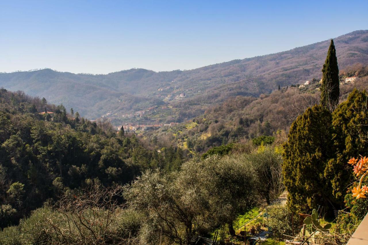 Agriturismo A Ca Vegia Calice Ligure Exterior foto